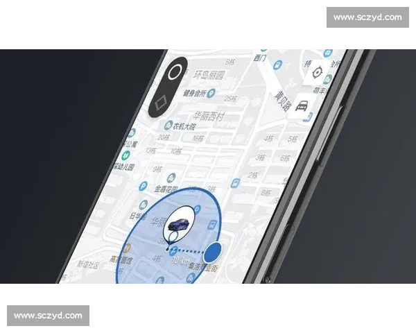 分享图片：数字时代的情感纽带与文化重构