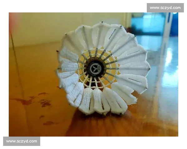 碳音球变 “暗器”！广州女子打羽毛球被击穿眉骨，专家紧急提醒